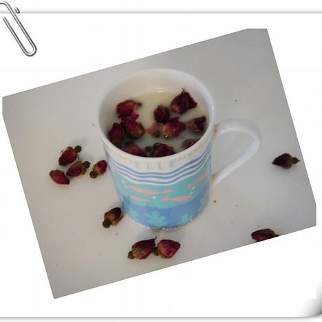 ��ʽ����������