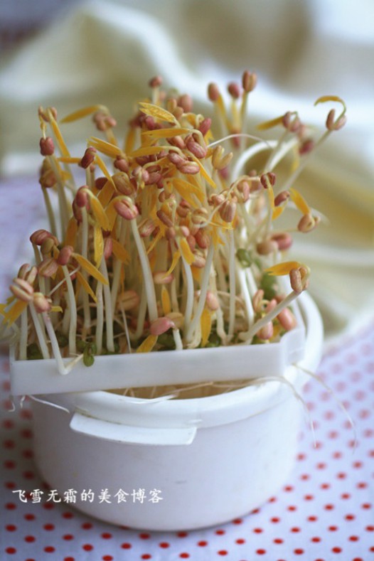 ��ѿ����ѿ������