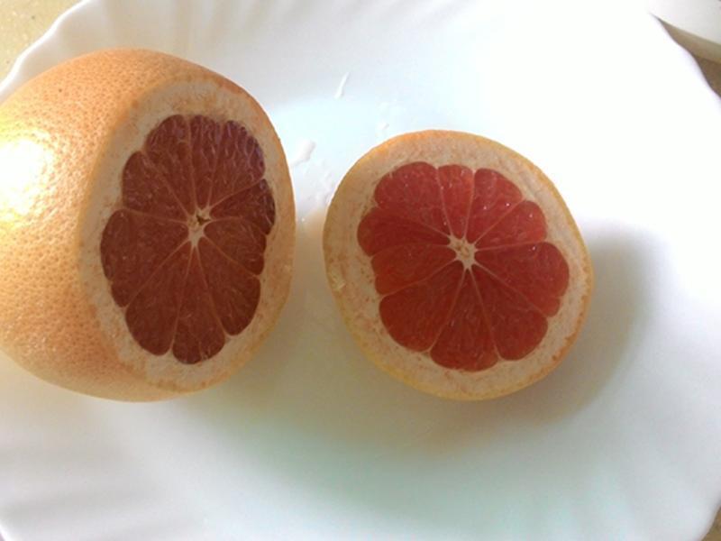 �㿾������(С��������)������