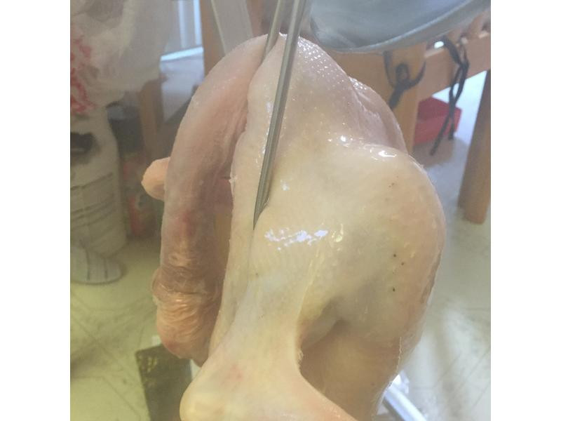 ��ʽ��Ѽ������