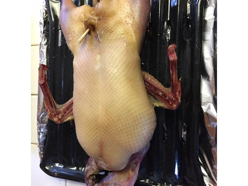 ��ʽ��Ѽ������