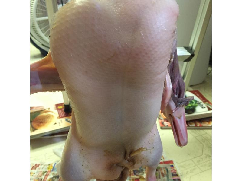 ��ʽ��Ѽ������