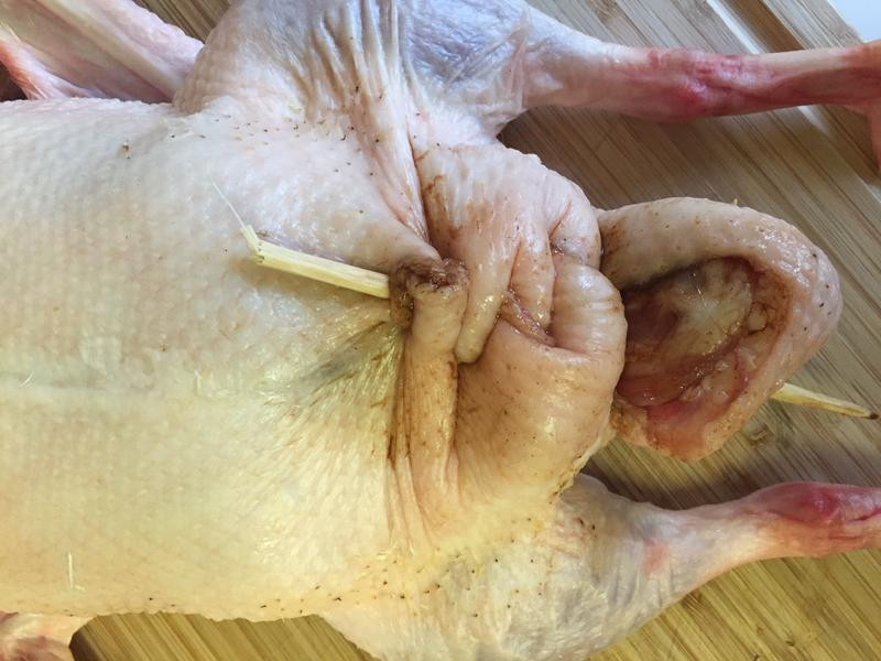 ��ʽ��Ѽ������