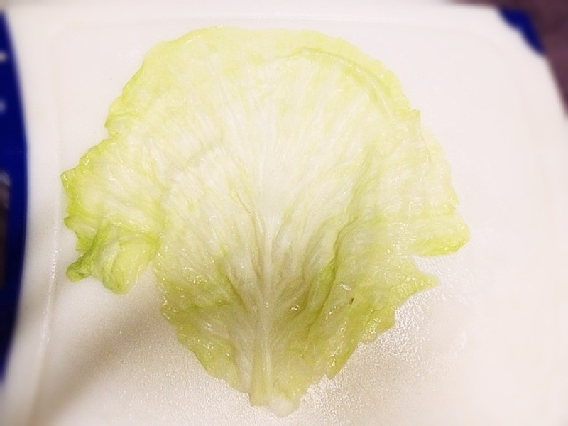 ���������㹽�������������