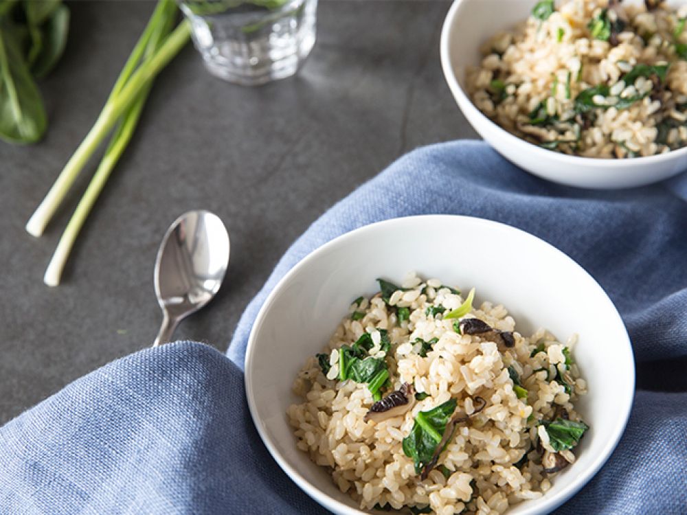 �㹽���˰���׷�������