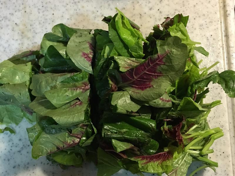 �Ȳ������㵰����������