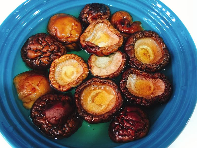 ���������㹽����������