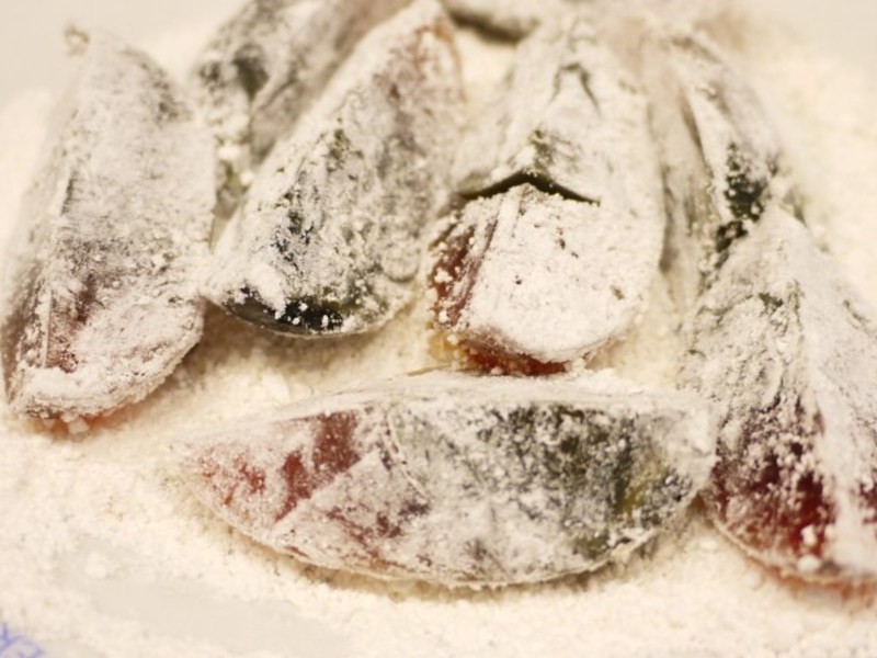 XO��Ƥ��������