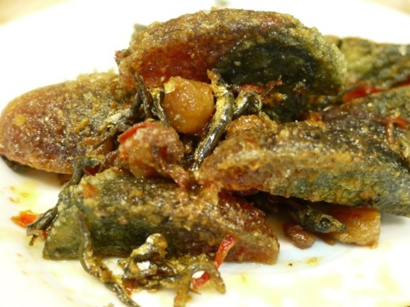 XO��Ƥ��������