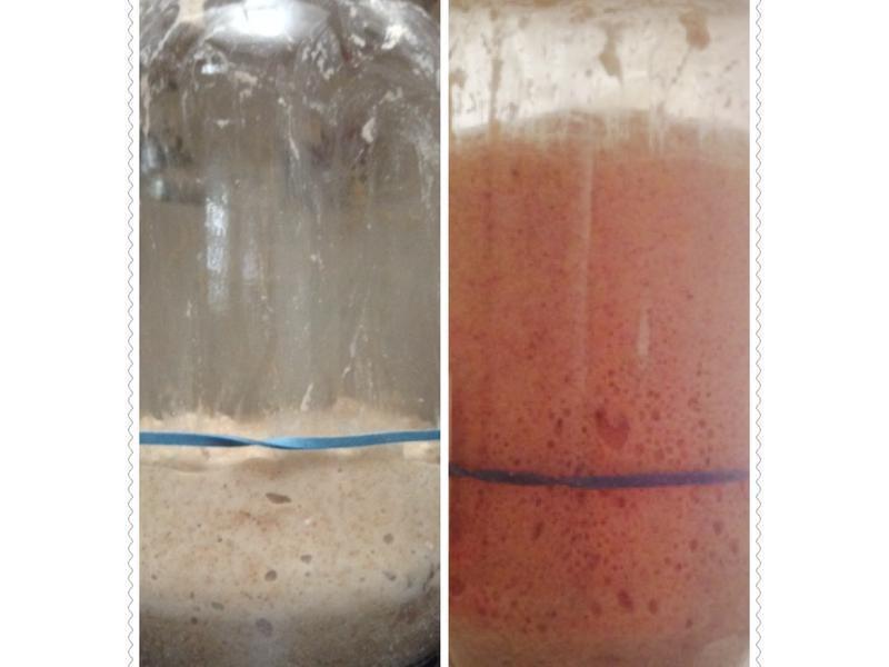 ������ͣ����棩������¼������