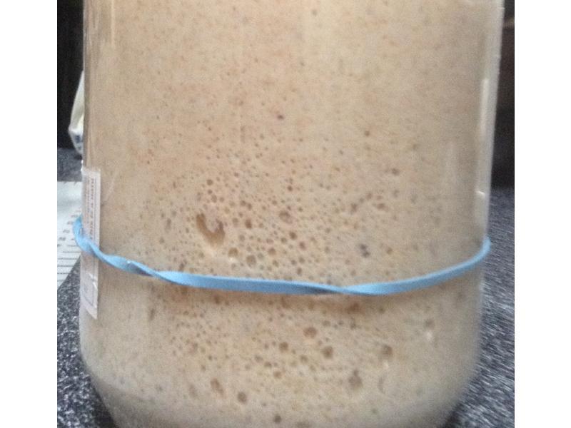 ������ͣ����棩������¼������