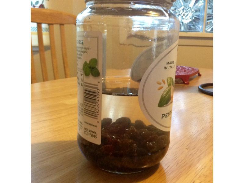 ������ͣ����棩������¼������