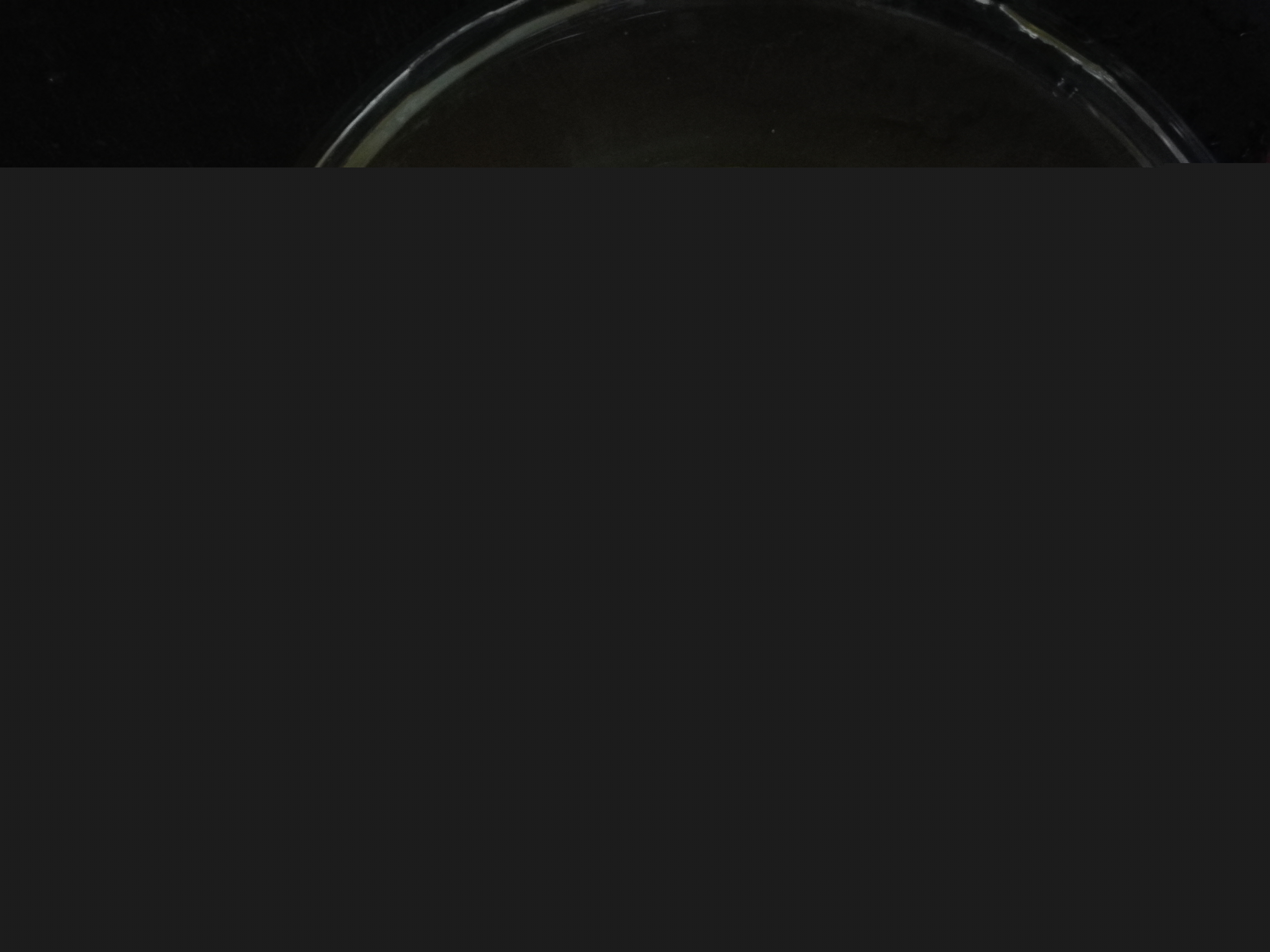 ������ʳϵ��֮��ݫ��������������