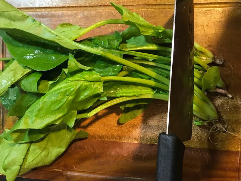 �ײ˴����������