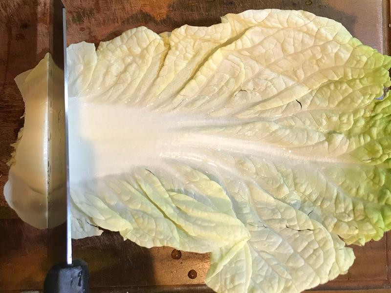 �ײ˴����������