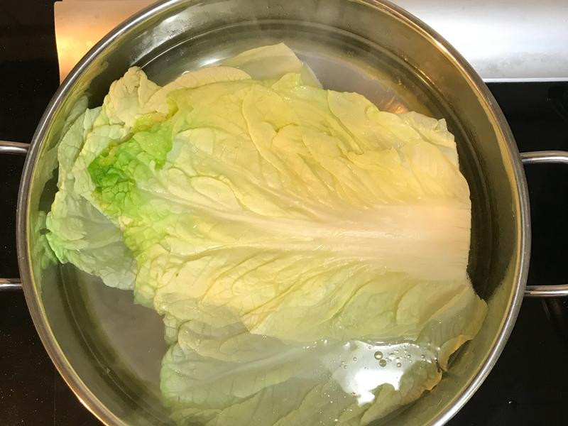 �ײ˴����������