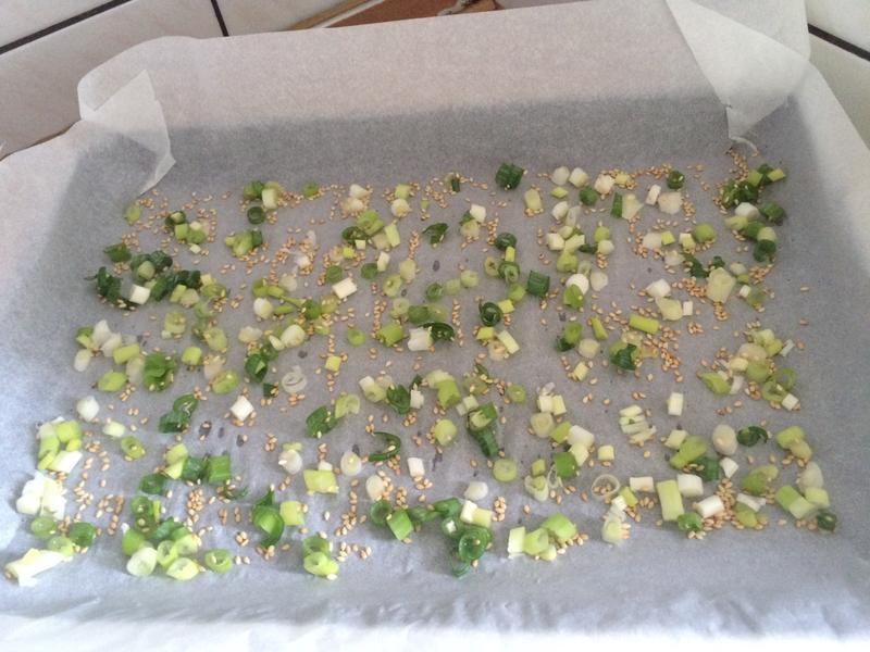 ���ɵ����~��ʿ��������