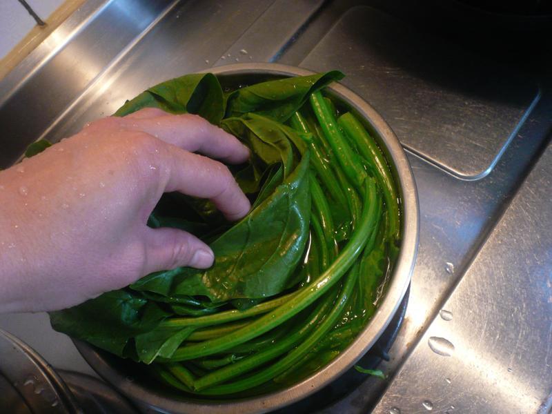 �������ӭ��������������ˡ�������