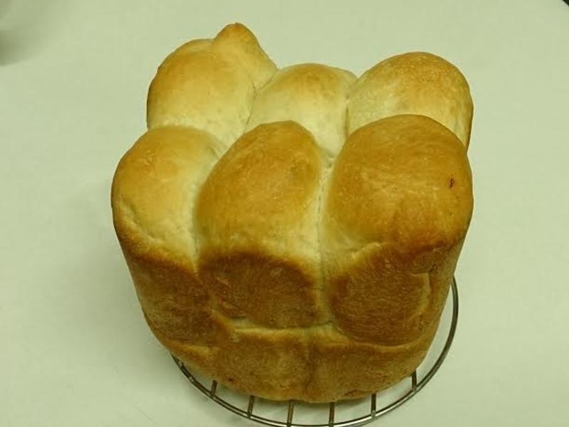 ţ�����ֽ�����˺������������������