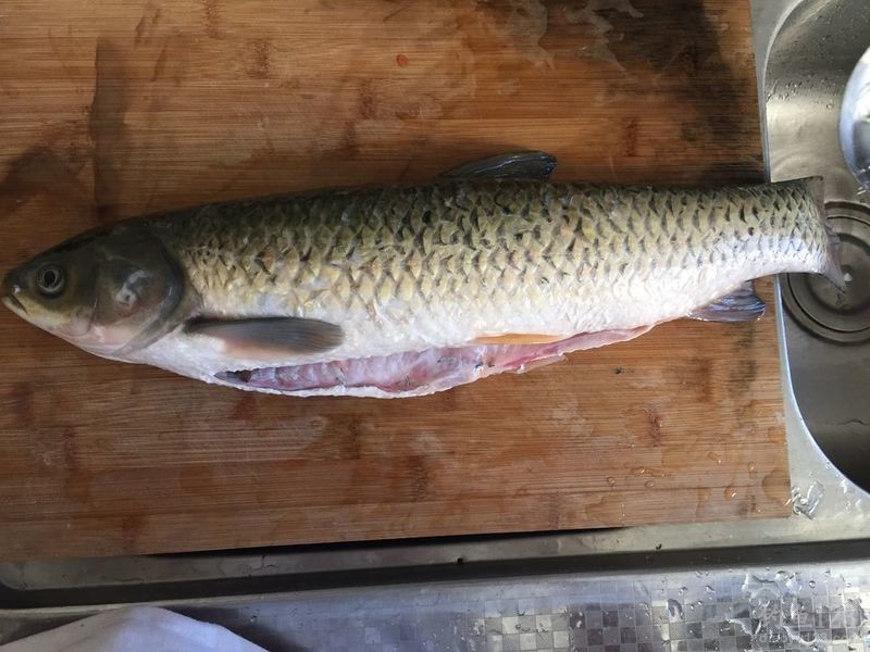 ����Դ��ɽֽ���������