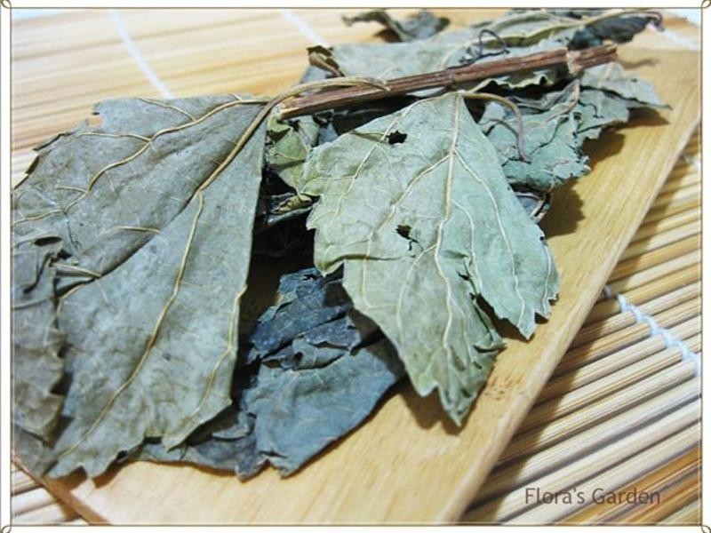 ǿ���Ƽ�--�ǳ���Ч�ο��ط�������