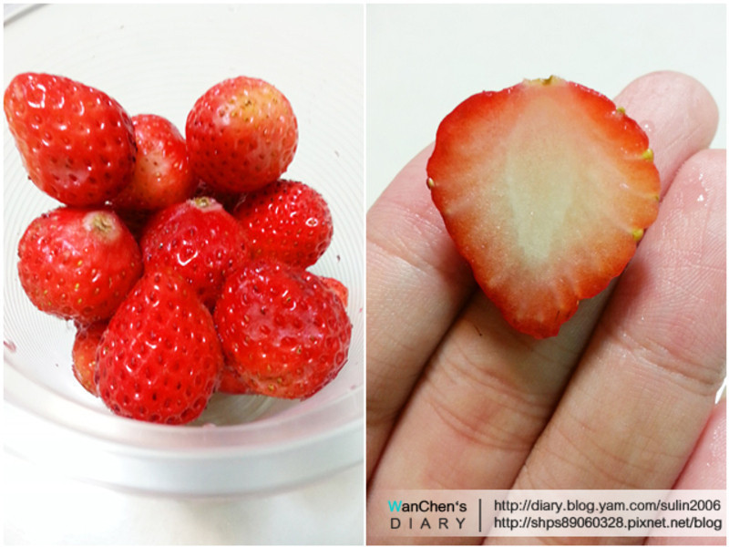 ��ݮ�Ͱ�ӥ������ ��ʽˮ���ܻ������� ʳ������������