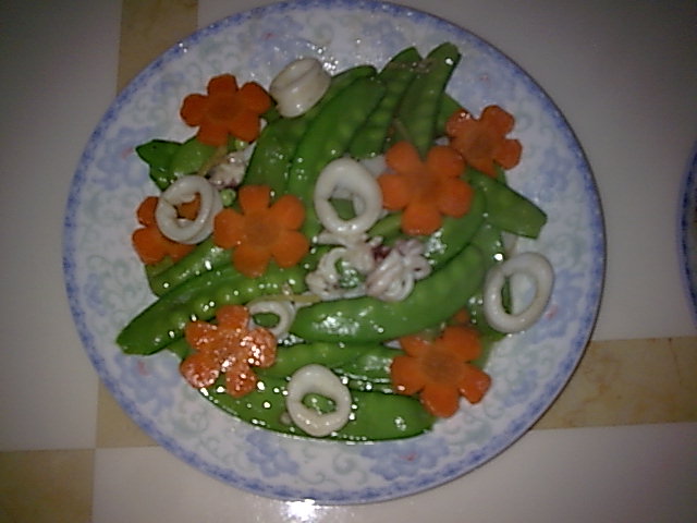 �������ܲ������ϵ�����