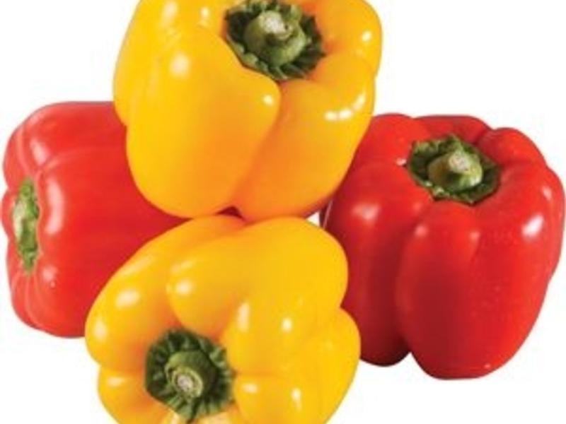 ̩ʽ����������������