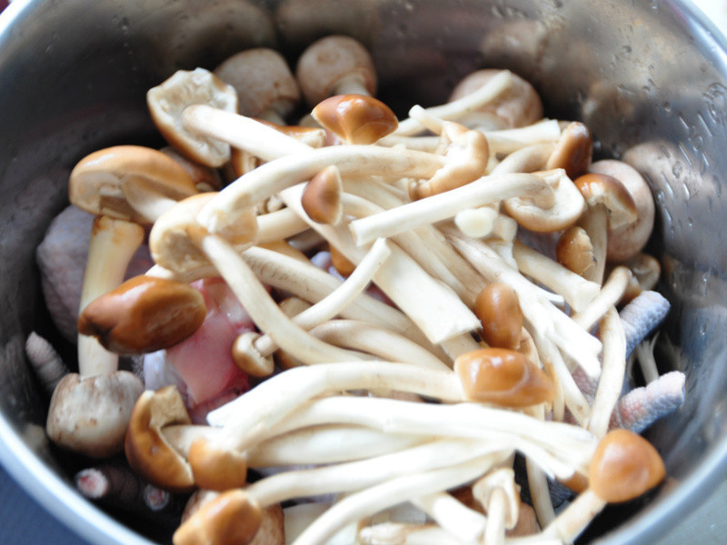 ˫��������-������Ģ�������ɹ���������