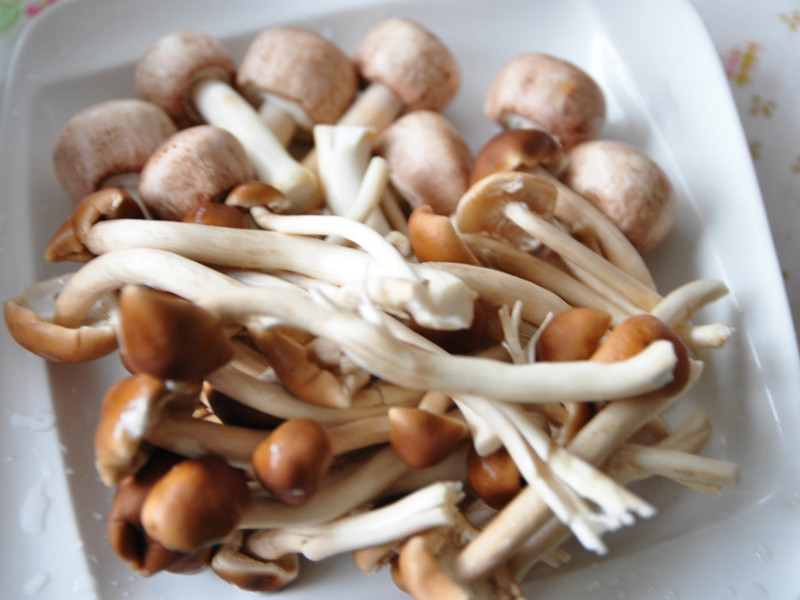 ˫��������-������Ģ�������ɹ���������