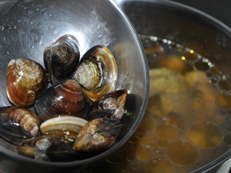 ˫��������-������Ģ�������ɹ���������