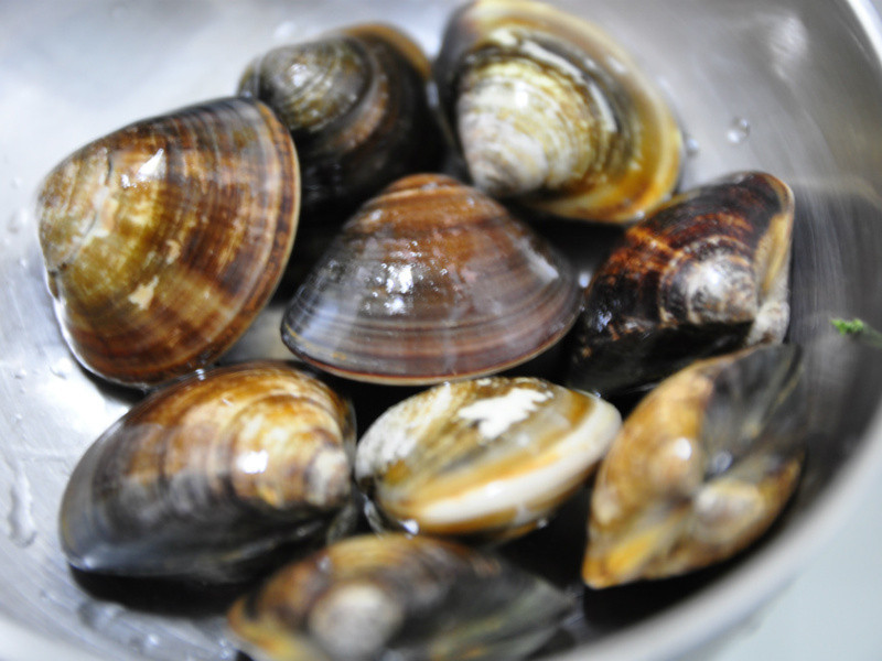 ˫��������-������Ģ�������ɹ���������