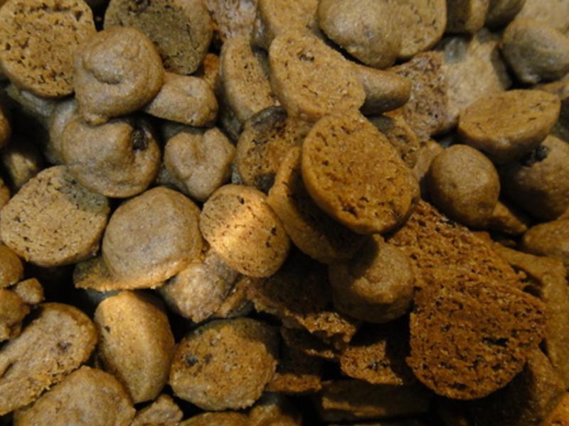 �ɿ����ɿɿڴ�����?!!!������