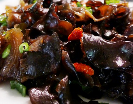 ��֭ľ��������