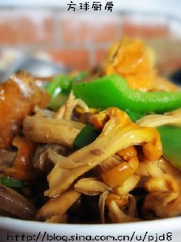 �ƻ�Ģ���������