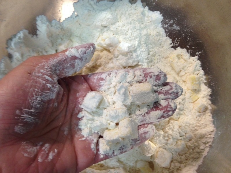 ����ݮ����������