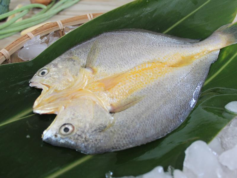 �������һҹ�ɵ�����