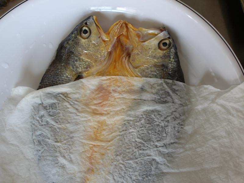 �������һҹ�ɵ�����