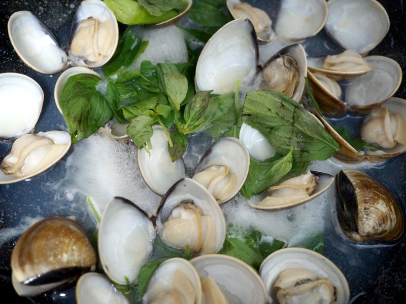 ���Ÿ���Ʈ����������������������������