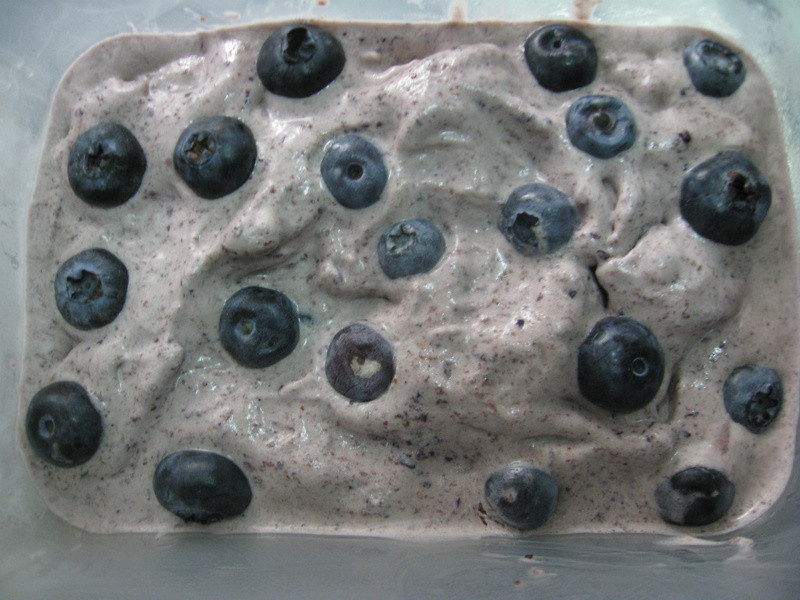 ����㡽�ʹ���ݮѩ�������