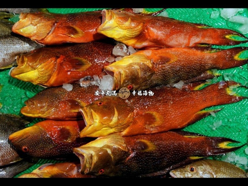 ��β������˿����������