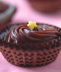 �����Ĺ��ɿ���������