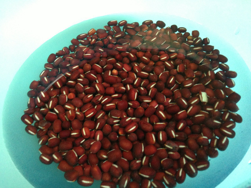 �ҵĳ���С�Ļ� �C �������������