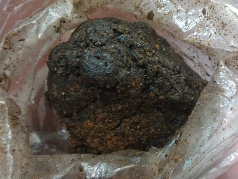 �ع�����������