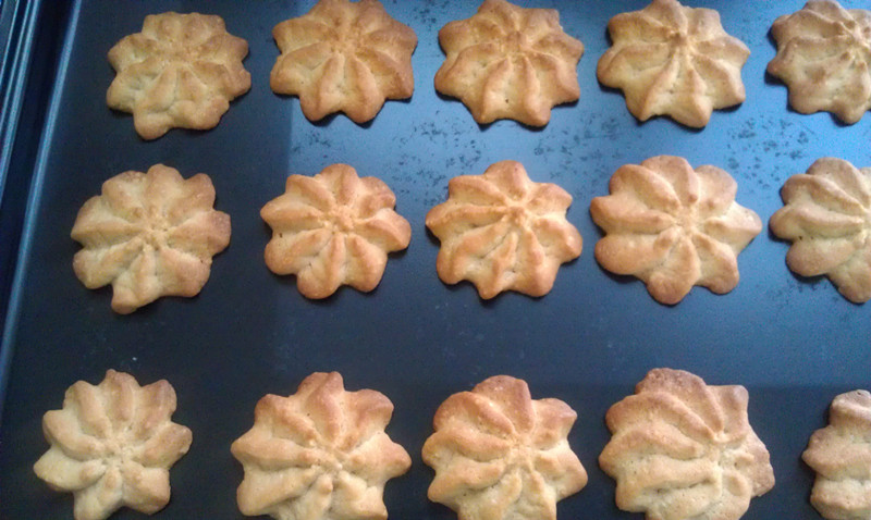 ���������������������