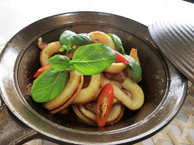 ����͸��������������