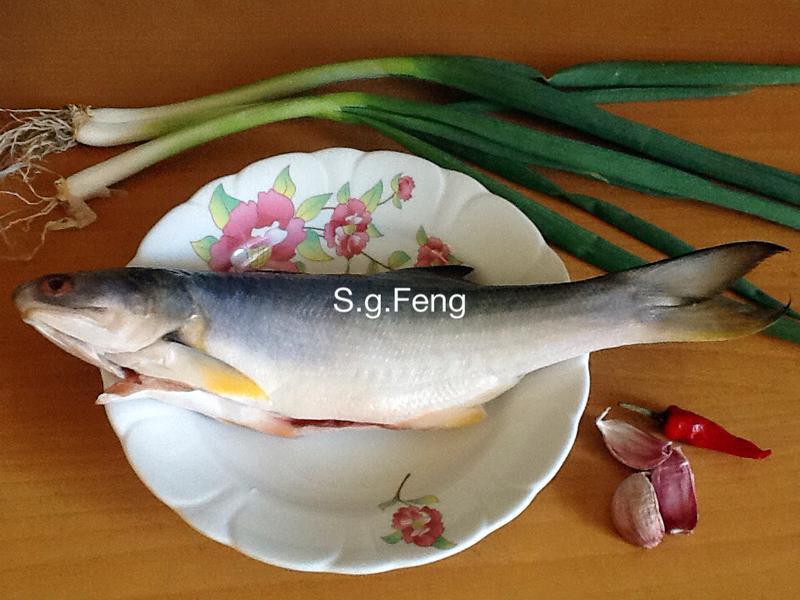 ���������������