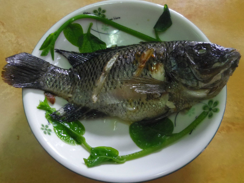 ��������������