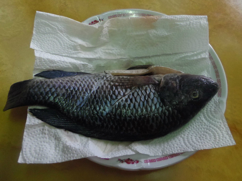 ��������������