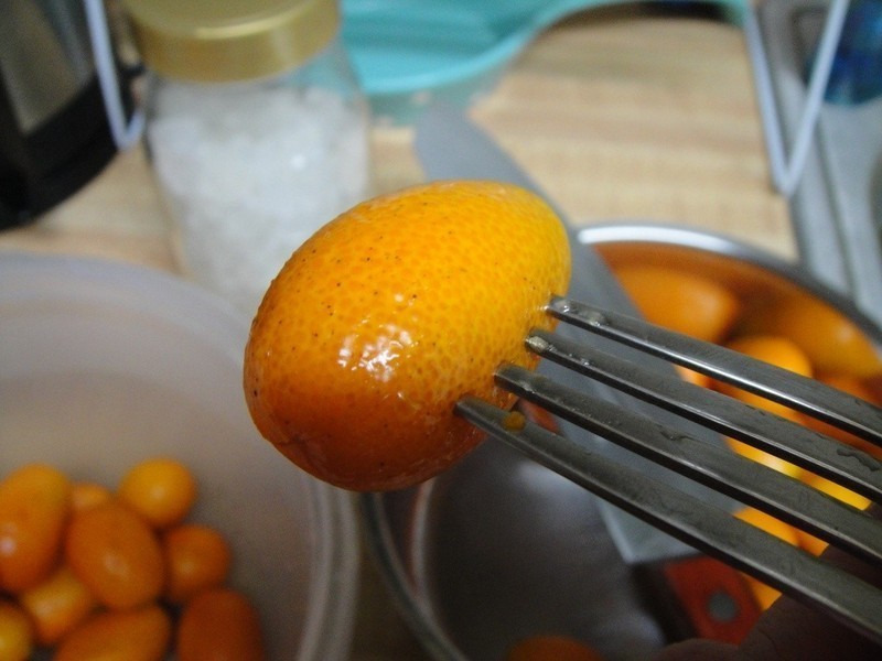 ���������:����(��)�۽�������